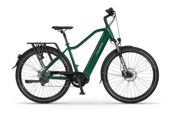 ecobike mx 300
